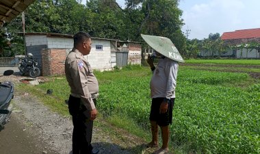 Anggota-Polsek-Sukodono-Cek-Ketahanan-Pangan-Program-P2B-Sayur-Kangkung